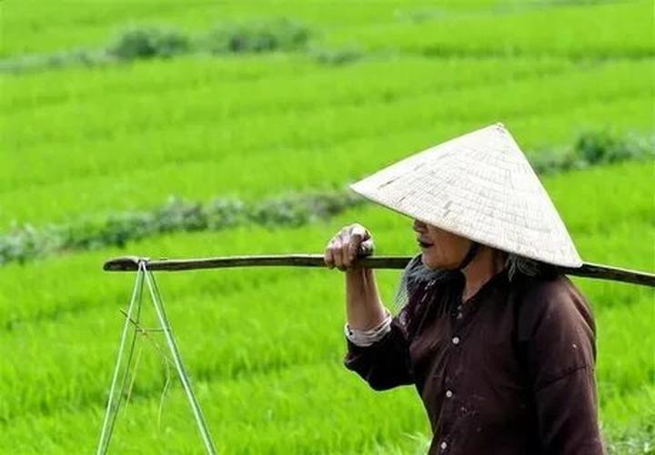 Hotspot Matrix: Bí quyết cạnh tranh của chủ cửa hàng nhỏ